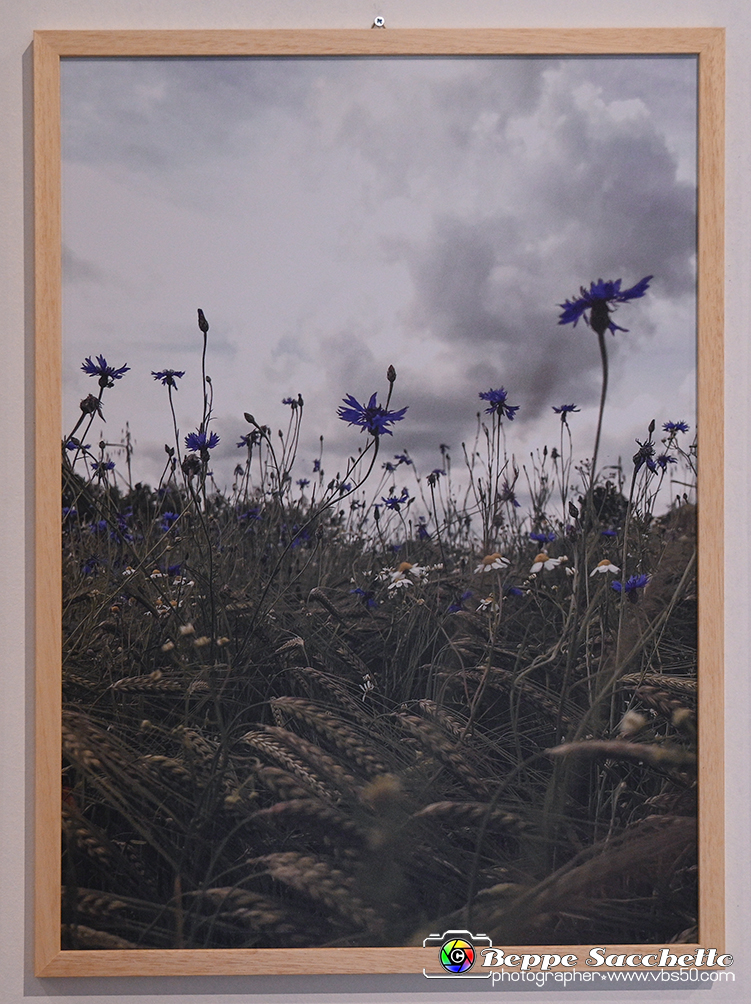 VBS_0885 - Mostra Liquida Photofestival.jpg